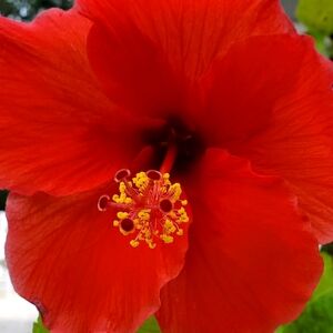 Have A Wonderful Day!